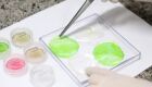 Embrapa começa a produzir carne em laboratório