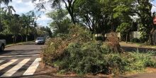 Novo boletim mostra preocupação com dengue e chikungunya
