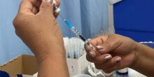 Saúde cria postos volantes para vacinar contra a dengue