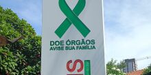 Resolução aprimora regras para o transplante em MS