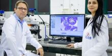 Fundect capta R$ 6 milhões para estudar projetos ao SUS