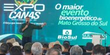 MS é o estado que mais reduziu emissão de gases