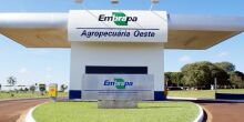 Embrapa leva soluções tecnológicas para o campo