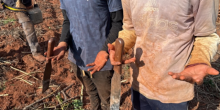 Paraguaios são resgatados em situação de escravidão em MS