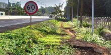 Lia Nogueira pede manutenção em ciclovia  