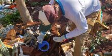 Chikungunya confirma mais duas mortes