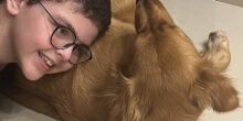 MP lança cartilha de proteção dos animais