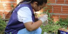Epidemia recua 92% e número de internados atinge menor volume
