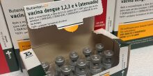 Ministério da Saúde suspende aplicação de vacina da dengue do Butantan