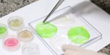 Embrapa começa a produzir carne em laboratório
