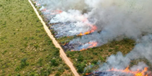 Estado se antecipa aos riscos de incêndios florestais
