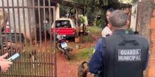 Homem descumpre medida para 'visitar' filhos