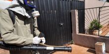 Casos de Chikungunya despencam em Dourados