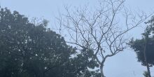 Temperaturas baixas no final de semana