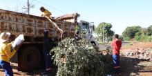 Prefeitura intensifica remoção de lixões na periferia