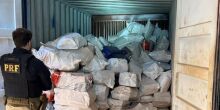 PRF descobre entreposto com 8 toneladas de maconha