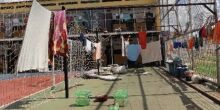 Inspeção na PED alerta para situação dramática