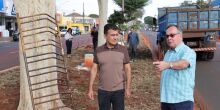 Canteiros centrais começam a ser revitalizados