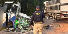 Acidente no interior do Paraná tem 23 mortos