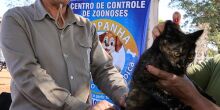 CCZ reforça vacinação em animais nos bairros