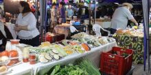 Feira dos Ipês acrescenta espaço pet friendly