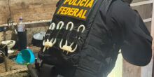 PF investiga comércio ilegal de armas de fogo