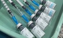 Domingo é último dia para primeira dose da vacina contra dengue