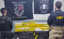 Mulher é presa com 101 quilos de maconha