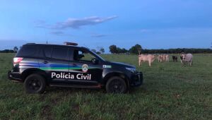 Polícia reprime furto de gado