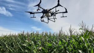 Drone já é usado em pulverização de área agrícola