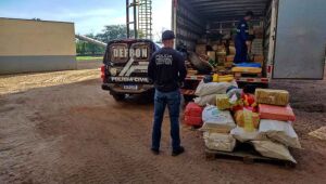 Polícia Civil incinera  15 toneladas de drogas 