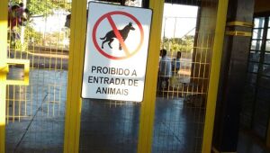Lei permite animais de estimação em parques públicos, com ressalvas