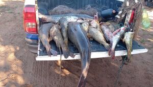 PMA divulga ações e resultados significativos contra a pesca predatória