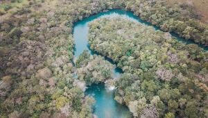 Governo de MS cria grupo que vai propor soluções para o Rio Formoso