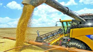 Produção de grãos deve chegar a 299,8 milhões de toneladas