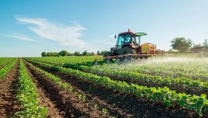 BNDES amplia financiamento para cooperativas agropecuárias
