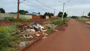 Lixo na rua pode pagar até dez salários mínimos