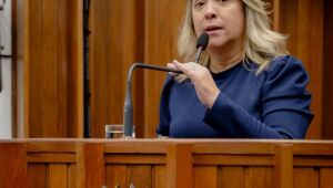 Lia pede mais efetivo policial para o centro de Dourados