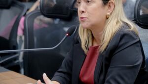 Projeto de Lei de carrinhos adaptados é aprovado em MS