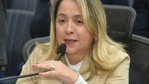 Deputada pede reparos em estrada de Glória de Dourados