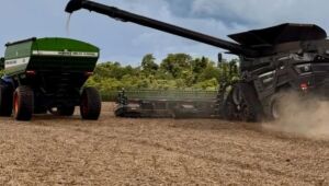 Safra de soja se apresenta com boas perspectivas