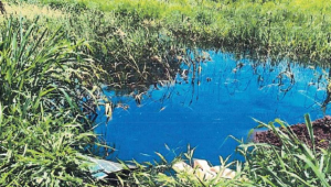 Inquérito apura contaminação de lagoa em Dourados