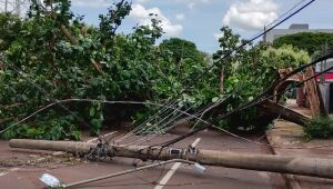Município minimiza impactos de ventos a 100 km/h