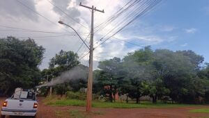 Aumento de casos alerta para surto de Chikungunya 