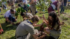 COP15 termina com criação de Bosque na Capital