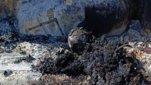 Corpo carbonizado é encontrado em carro incendiado