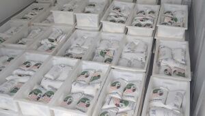 Município distribui quase 700 litros de leite