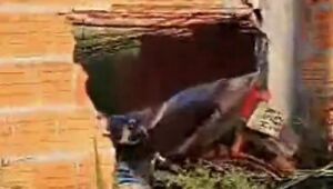 Homem invade muro em construção e morre