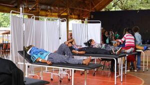 Reforço de Brasília para enfrentar chikungunya