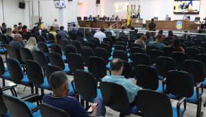 Vereadores fazem duas sessões e só voltam dia 27 